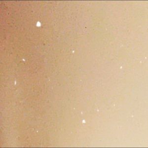 Meet your Posher, Bella